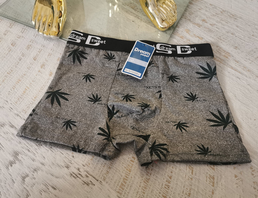Bokseriai su užrašu DREAM SWEET